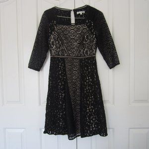 Gorgeous Knee Length Formal Classy Dress British English London Cottage Quaint